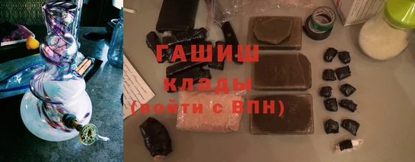 индика Дмитровск