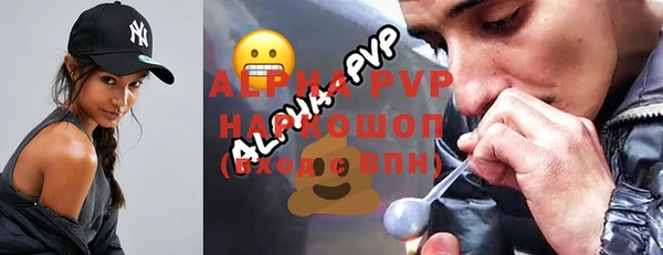индика Дмитровск