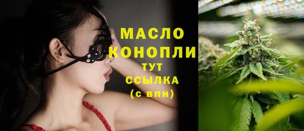 шишки Гусиноозёрск
