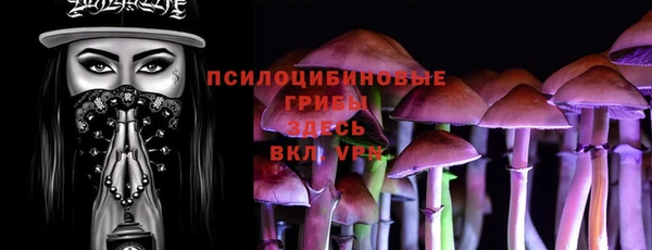 первитин Нея