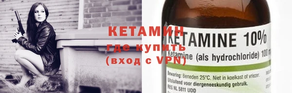 индика Дмитровск