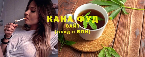 индика Дмитровск