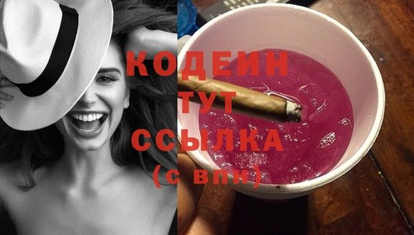 индика Дмитровск