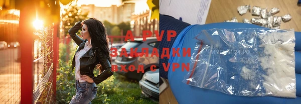 шишки Гусиноозёрск
