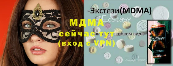 шишки Гусиноозёрск