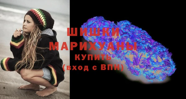 мдпв Дмитров