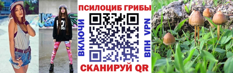 Галлюциногенные грибы Psilocybine cubensis Оха